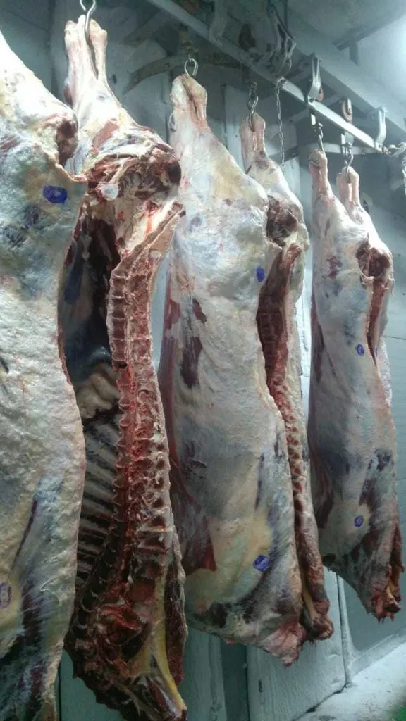 мясо и субпродукты говяжьи в Ижевске