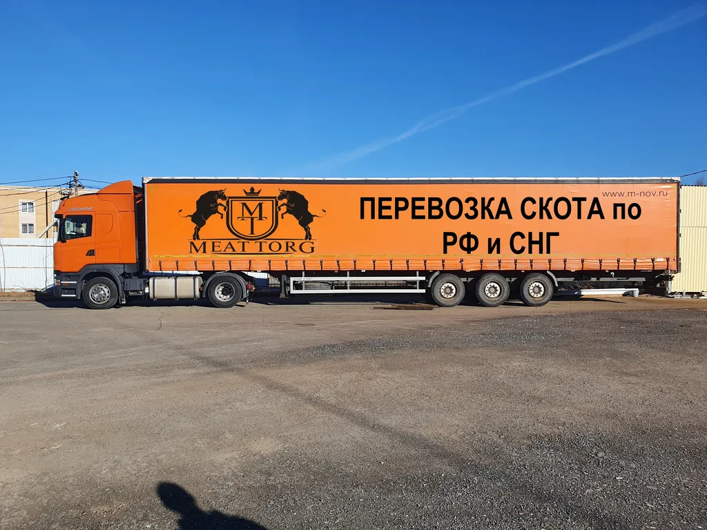 перевозка скота (крс,мрс,лошадей,свиней) в Ижевске