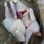 курица  несушка замороженная  в Ижевске 3