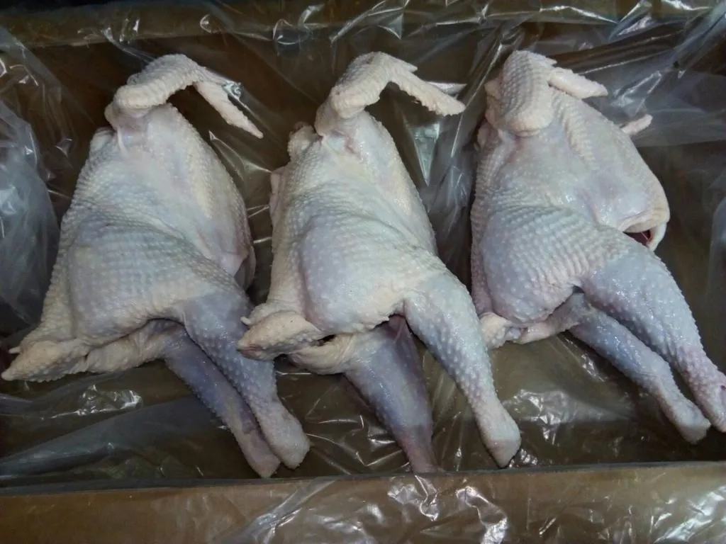 курица  несушка замороженная  в Ижевске