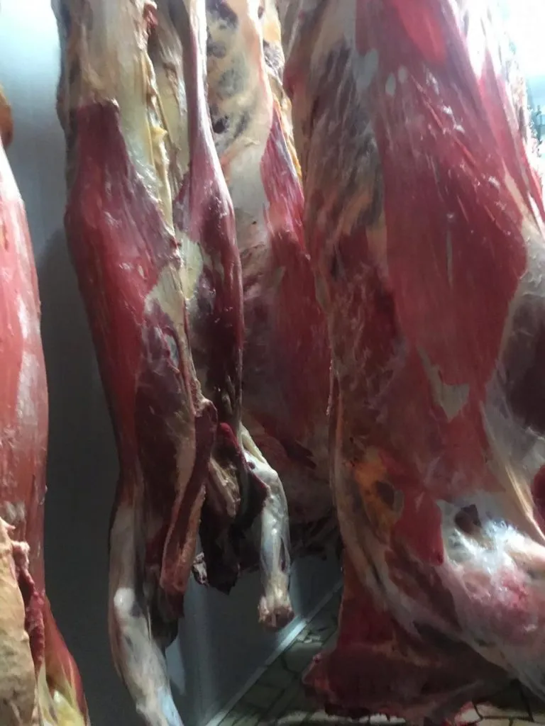 фотография продукта Мясо говядины охлажденное в полутушах