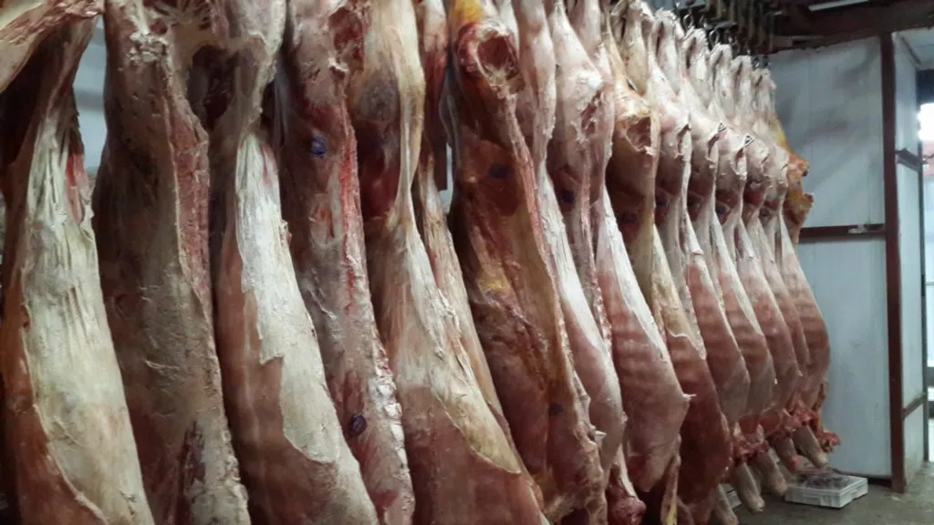 производитель мяса говядины в Удмуртии в Ижевске 2