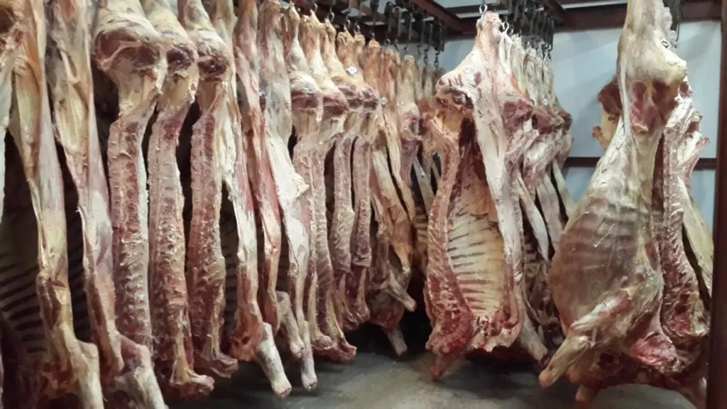 фотография продукта Производитель мяса говядины в Удмуртии