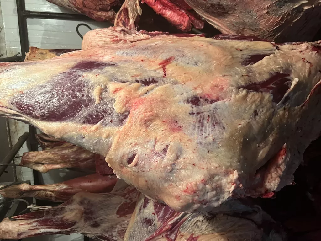 мясо говядина в тушах  в Сарапуле
