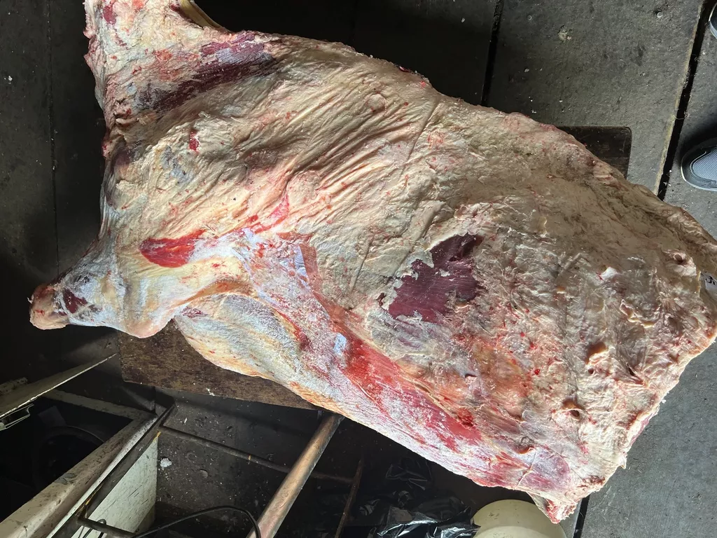 мясо говядина в тушах  в Сарапуле 6