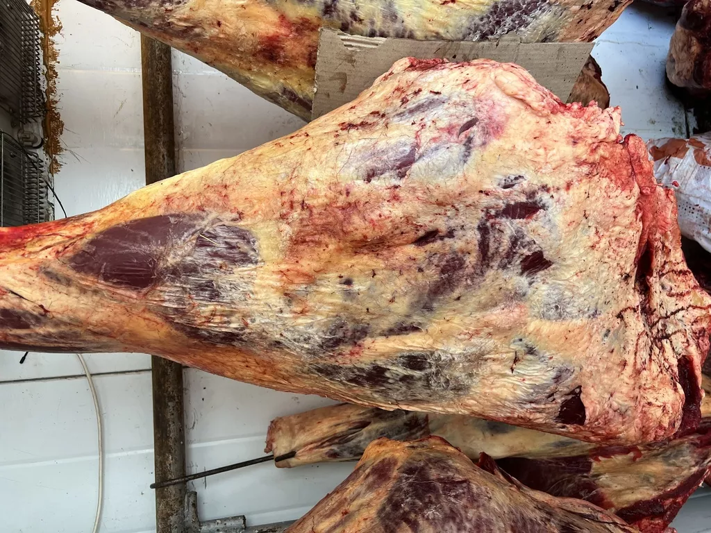 мясо говядина в тушах  в Сарапуле 4