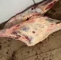 мясо говядина в тушах  в Сарапуле 6