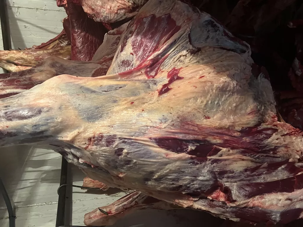 мясо говядина в тушах  в Сарапуле 3