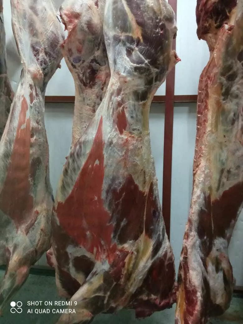 фотография продукта Молодняк, полутуши, четвертины.