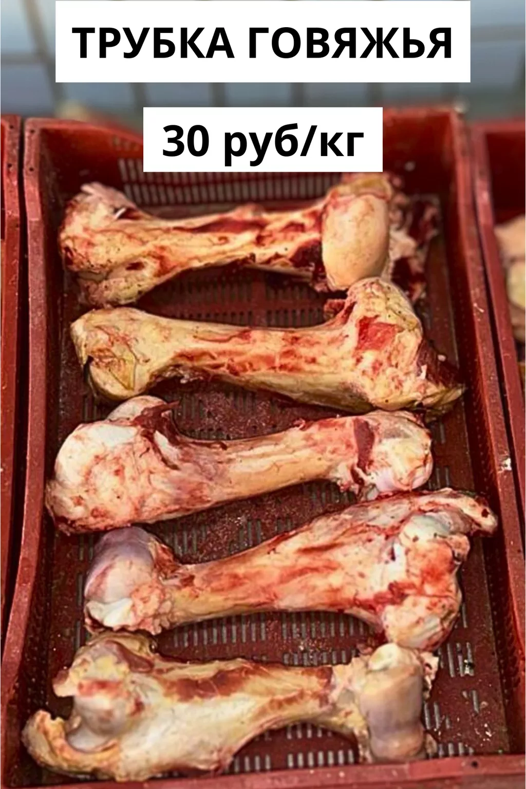 кость говяжья (гантеля) в Ижевске и Удмуртской республике